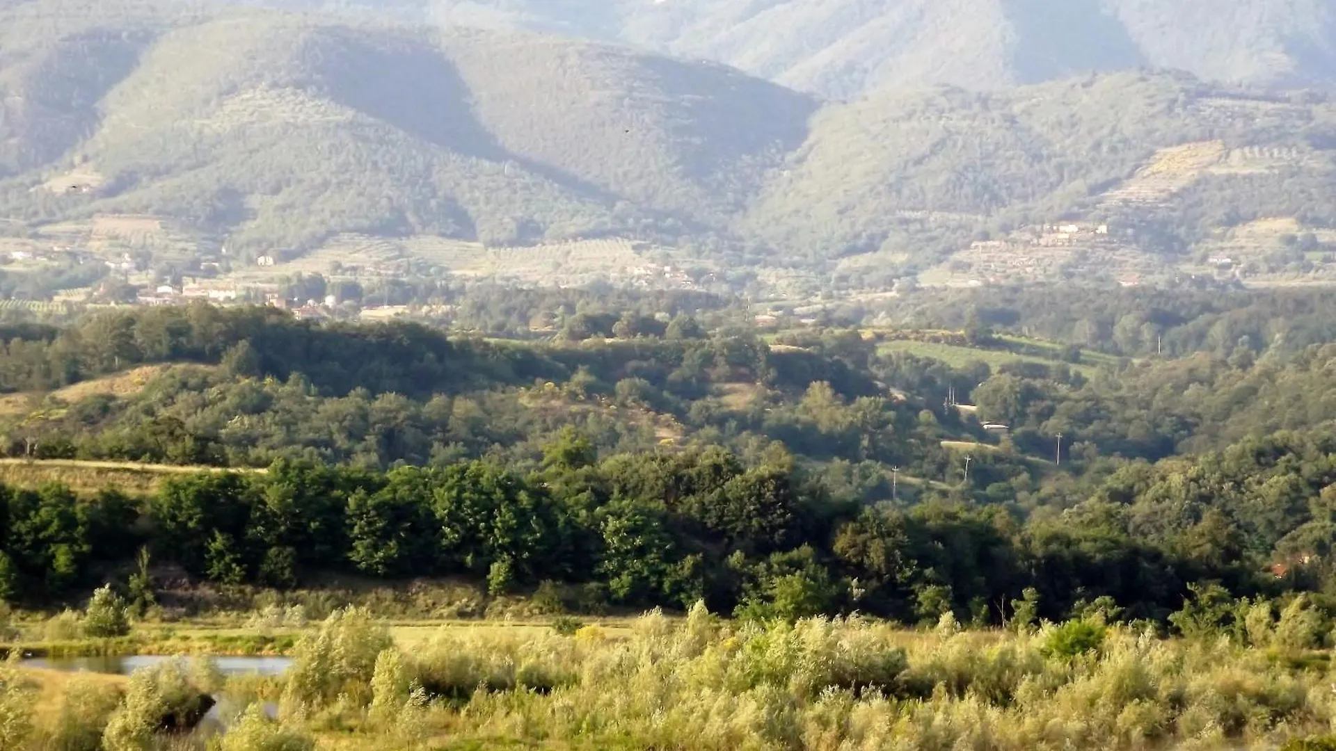 Flache Linde Terranuova Bracciolini Ιταλία